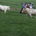 WCC Nagy-Britannia 2012 - Helge
